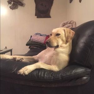 Meet your Posher, Brandon